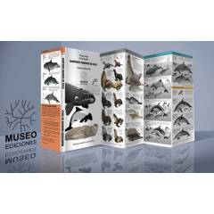 MUSEO EDICIONES - Mamíferos Marinos de Chile