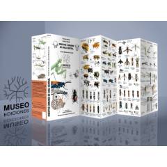 MUSEO EDICIONES - Insectos comunes de Chile Central