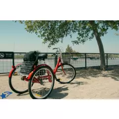 GENERICO - Bicicleta 3 Ruedas, Color Rojo, Aro 26, Acero Alto Carbono