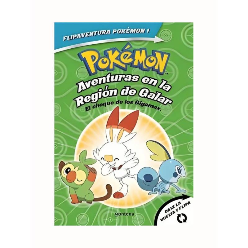 Libro Pokemon