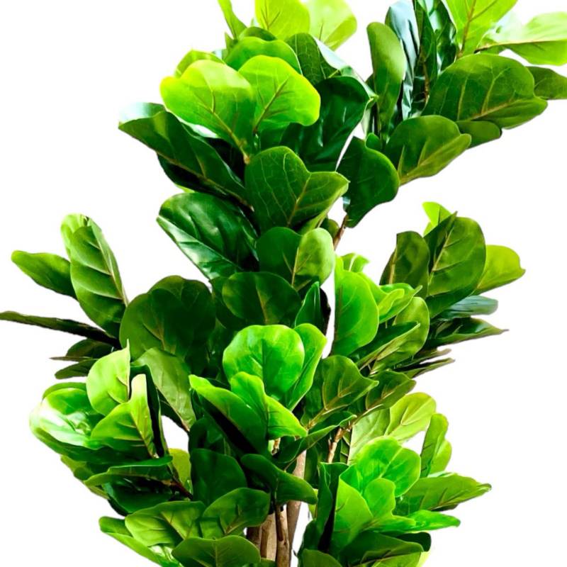 Ficus Lyrata 60 hojas 150 cm - planta artificial