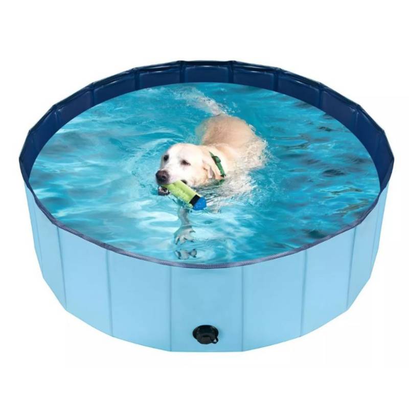 Piscina para perros, 160 x 30/120 x 30 x 30 piscina plegable para perros  grandes y pequeños, baño para perros, 100% segura y no tóxica piscina  rígida