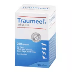 GENERICO - Traumeel t 250 Comprimidos