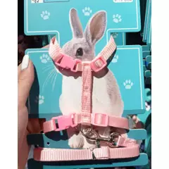 GENERICO - Arnes Para Conejo Colores Surtidos Mascotas