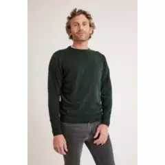 TRIAL - Sweater hombre cuello redondo liso phelps verde