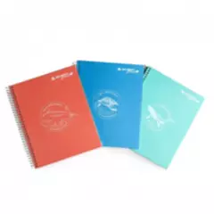 RHEIN - Pack 5 Cuadernos Eco Color Carta 150 Hojas Tapa Dura