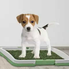 CASTLEN - Inodoro para mascotas con almohadilla sanitaria verde