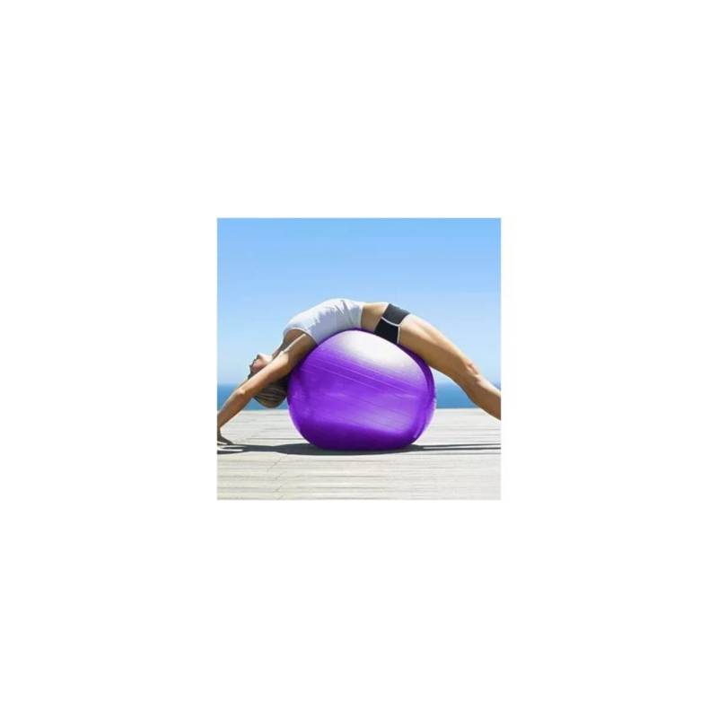 Pelota 65cm pilates yoga bola gimnasia sportfitness gym ball