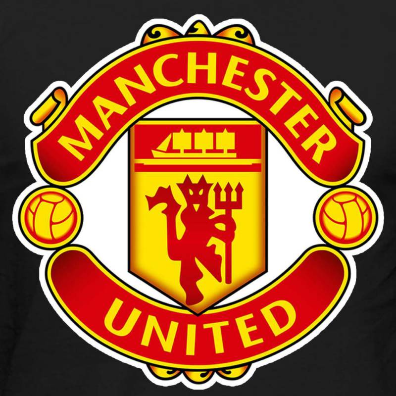 ADN CAMISETAS - Buzo Hombre estampado Manchester United hoodie ADN