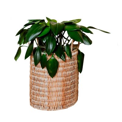 Macetera Mimbre 30 X 27 Cm Habibi Plantitas Canasta Florenc