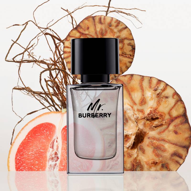 Perfume Hombre Burberry Mr. Burberry EDT 100 ML BURBERRY 