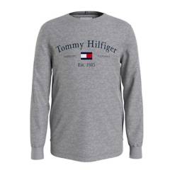 Tommy Hilfiger - Camiseta Juvenil Niño Tommy Hilfiger