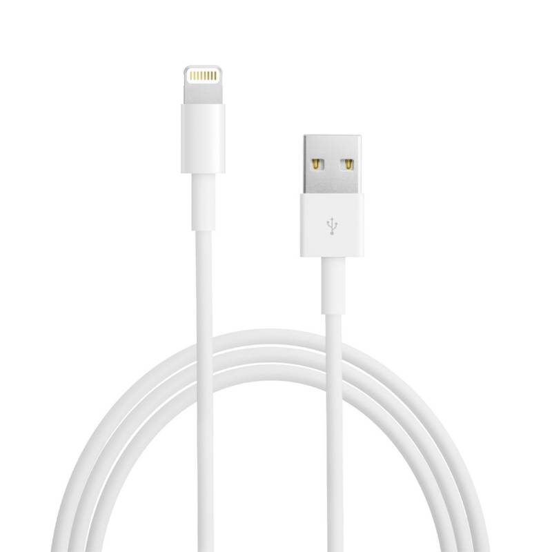 Apple - Cable USB Lightning
