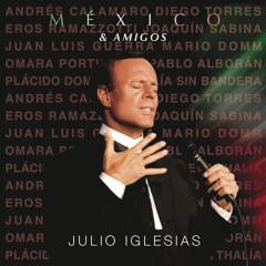 Elite Entretenimiento - Julio Iglesias México & Amigos (Cdx1)