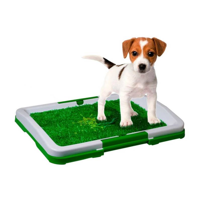  - Tapete entrenador mascotas lavable baño caninos