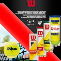Wilson - Tubo de Pelotas de Tenis Championship Extra Duty