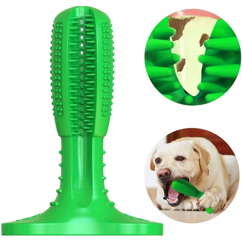 6 piezas, blanco cepillo de dientes para perros para facilitar la limpieza de la lengua Cepillo de dientes de nailon para mascotas de 360 ° para perros gatos Molain Cepillo de dientes para perros 