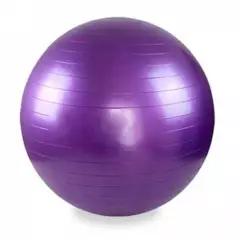 EVOLUTION - Balón de ejercicios 75cm Evo