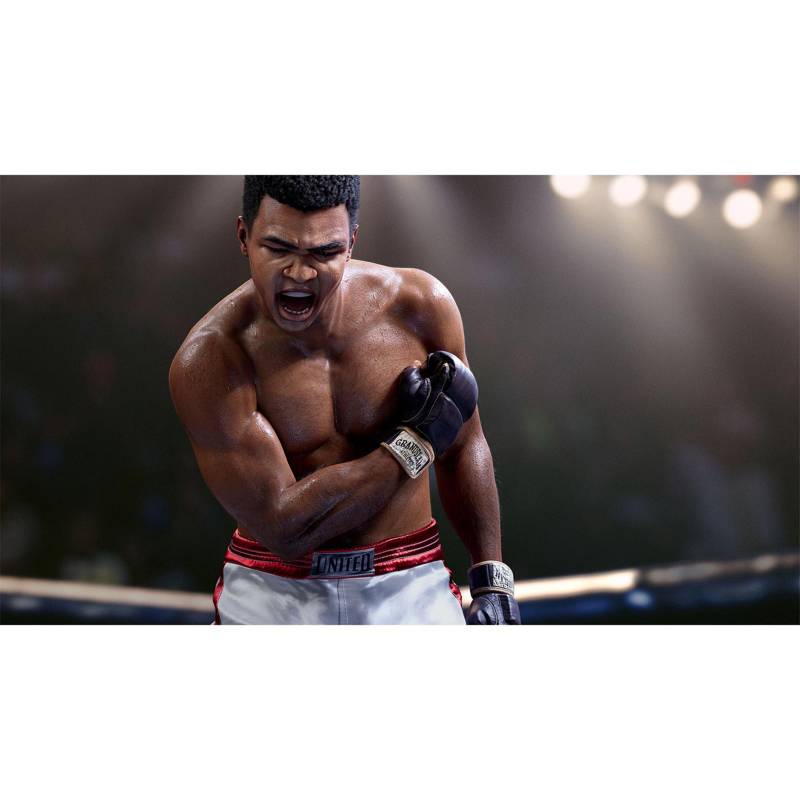 UFC - PlayStation 4 : : Videojuegos