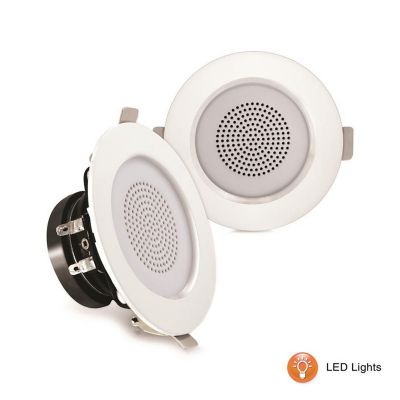 Altavoz Tipo Cesta Para Techo O Pared Pylehome Pdicle3Fr