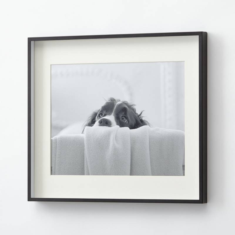 CRATE & BARREL - Marco de Fotos con Acabado Gunmetal 28 x 36 cm