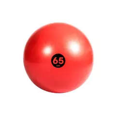 REEBOK - Balón de entrenamiento Gymball de Estabilidad 65 cm Reebok
