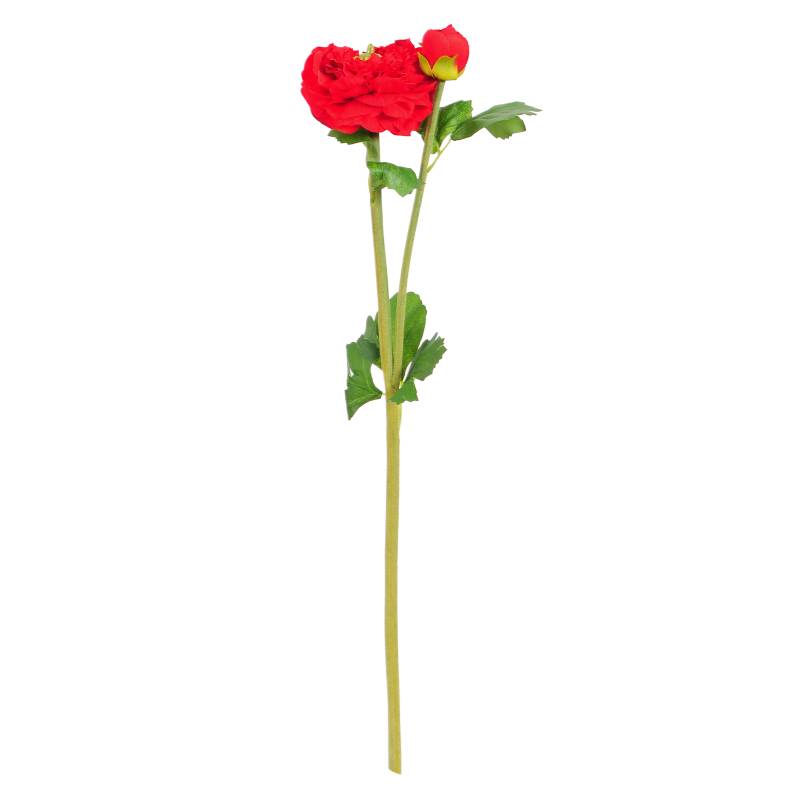 MICA - Flor Ranunculus Crema 51 cm