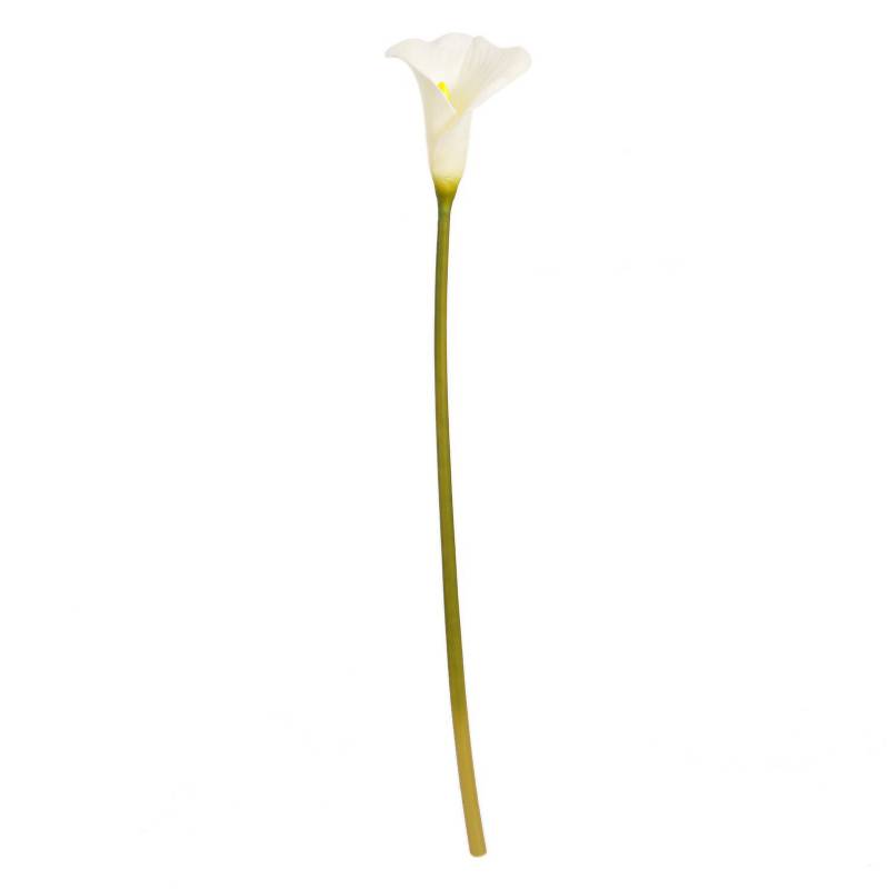 Mica - Flor Cartucho Blanca 77 cm