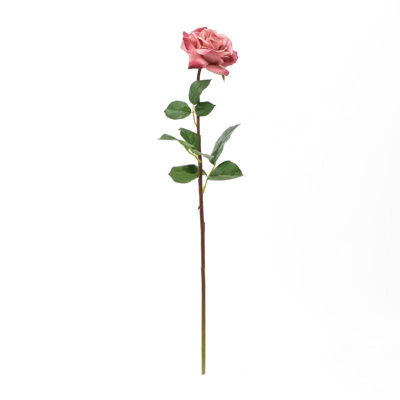 Mica - Rosa Rosada 70 cm