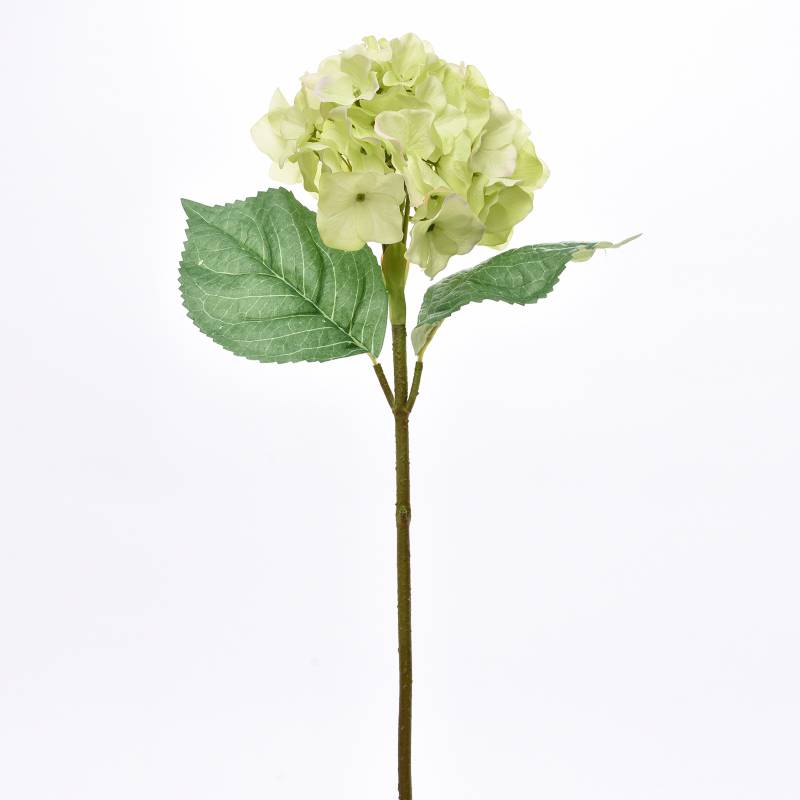 Mica - Flor Hydrangea Verde