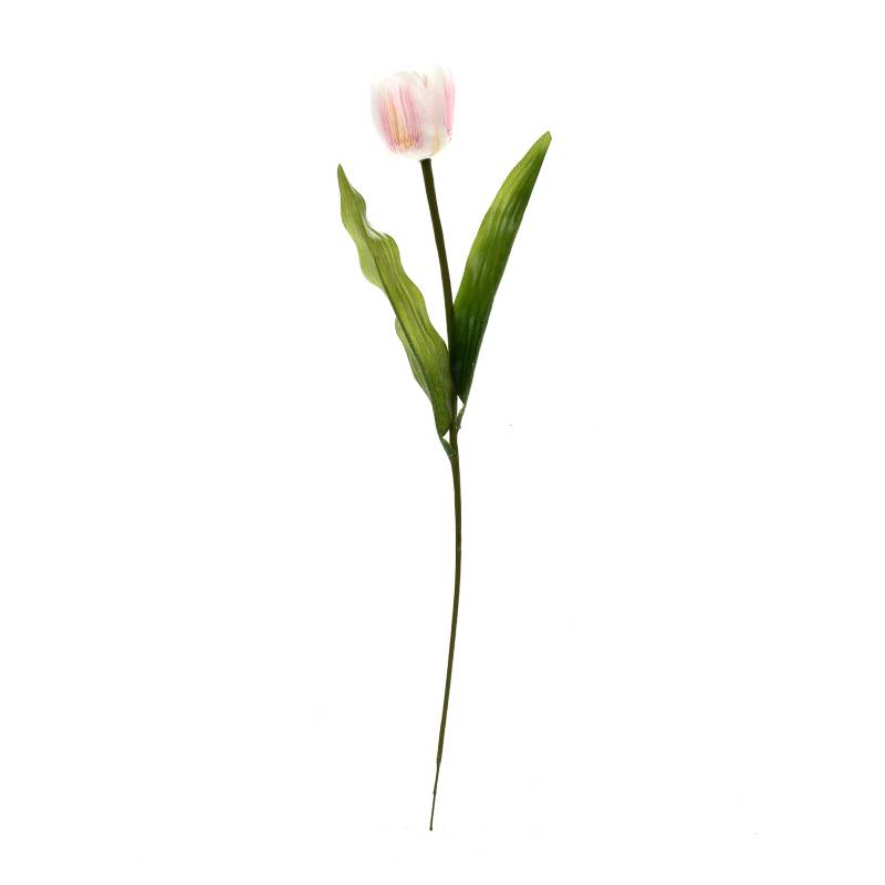 Mica - Tulipan Blanco 55 cm