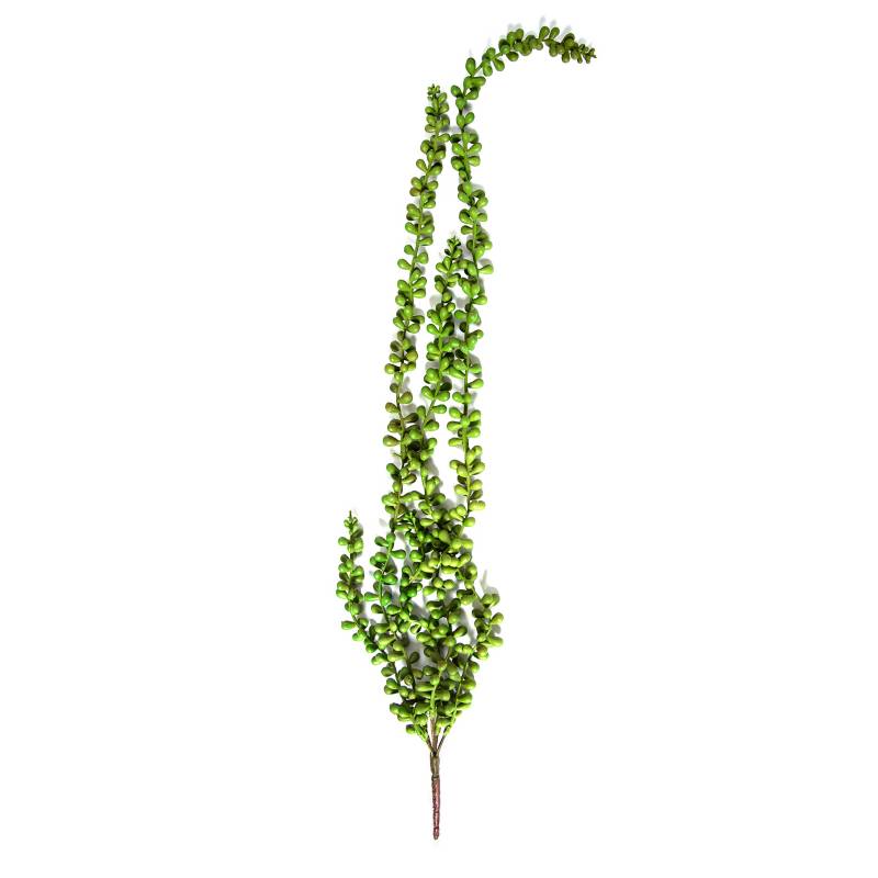 Mica - Planta Colgar Bean 71 cm