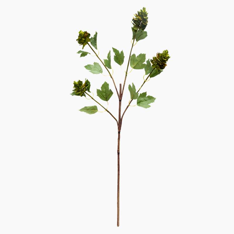 Mica - Planta Lúpulo 83 cm