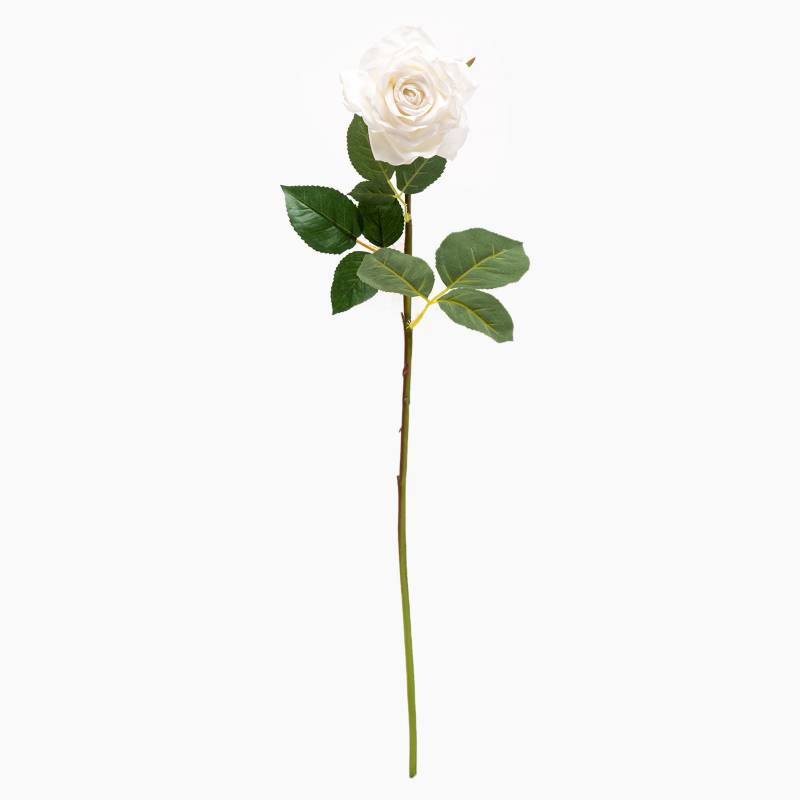 Mica - Rosa Blanca 70 cm