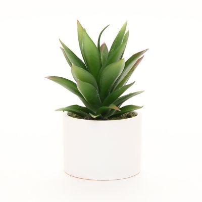 Planta Pvc 18 X 12.5 Cm Mica Plantas Pot B