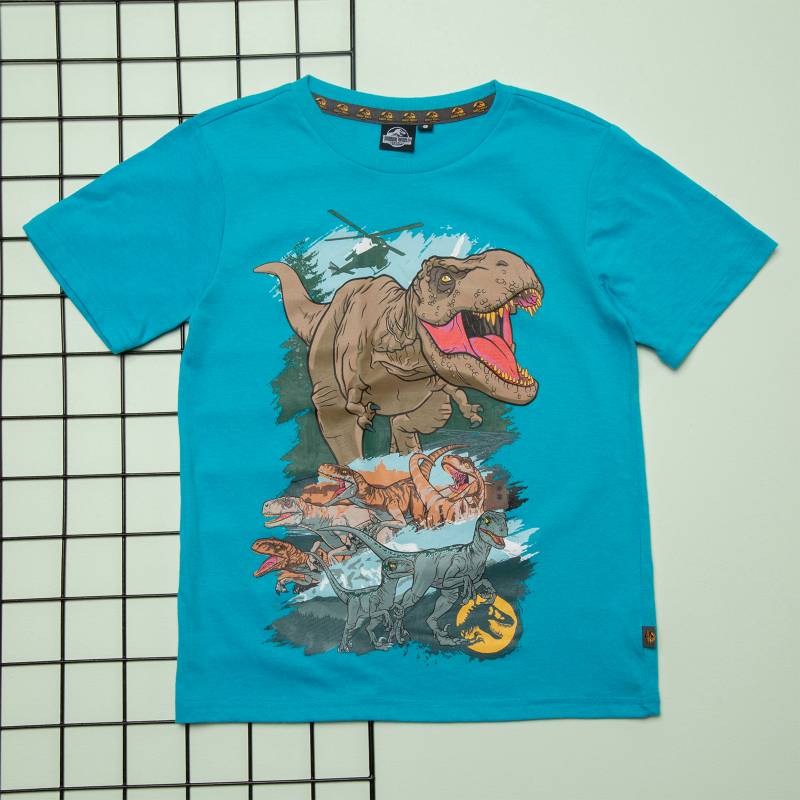 JURASSIC WORLD Camiseta para Niño Jurassic World 