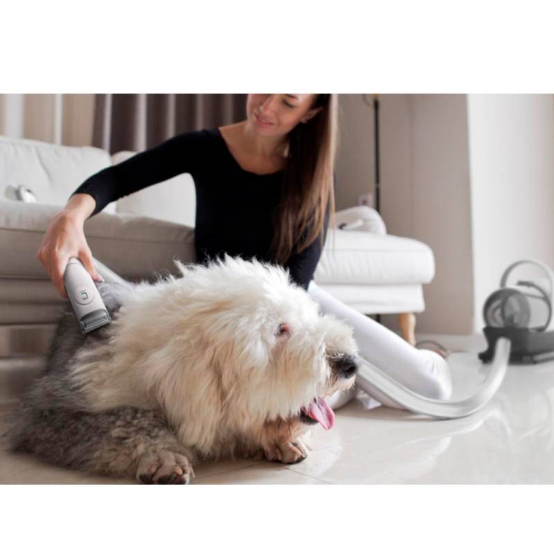 Cepillo Aspiradora Quita Pelo Para Mascotas Perros Gatos