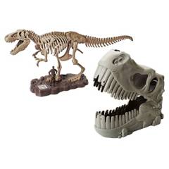 DINO VALLEY - Fossil de Tiranosaurio Rex para Armar, Incluye (22 Piezas + Lochera Cabeza Dinosaurio) a partir de los 3 años - DINO VALLEY