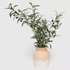 MICA - Planta 62 x 12 cm