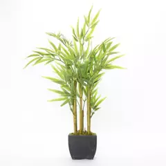 MICA - Planta 79 x 14.5 cm