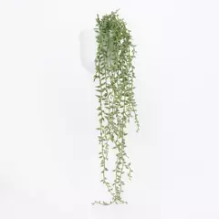 MICA - Planta 50 x 10 cm