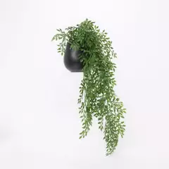 MICA - Planta 56 x 17 cm