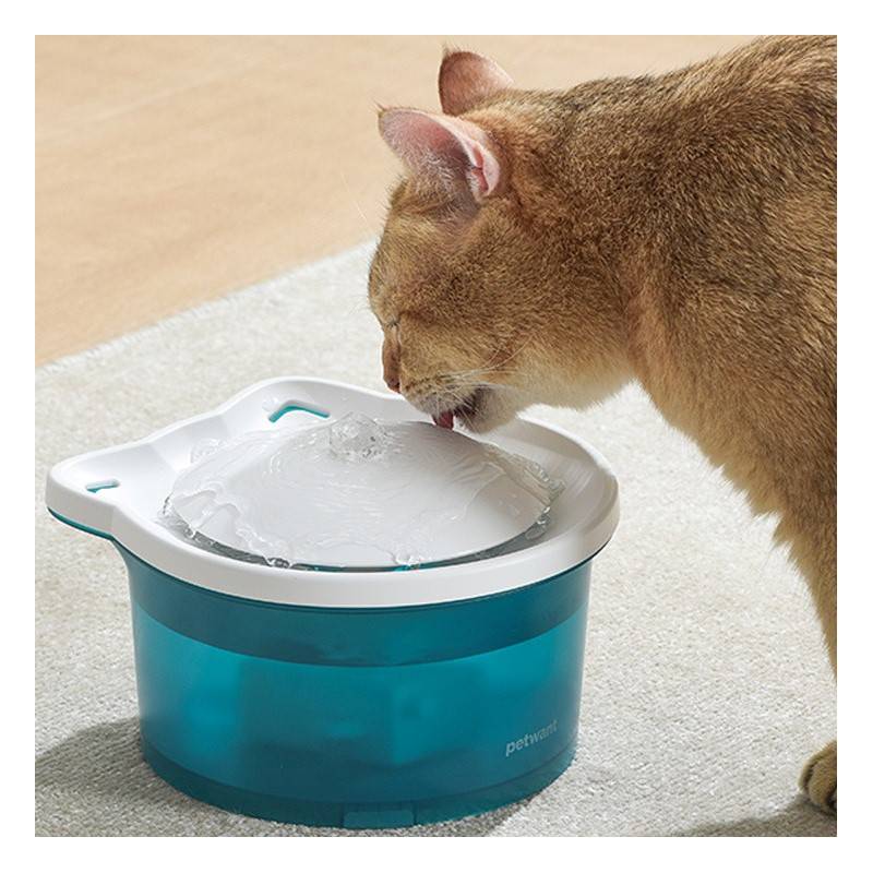 Fuentes de agua para gatos
