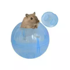 AFM - Bola rueda hamster para ruedores