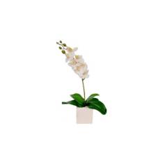 RENOVEMOS - Matera cerámica  8x8 blanca con orquídea blanca