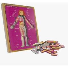 DIDACTICOS PINOCHO - El cuerpo humano-niña 8 sistemas