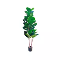 RENOVEMOS - Planta Artificial Ficus Pandurata Matera 160cm RCP302
