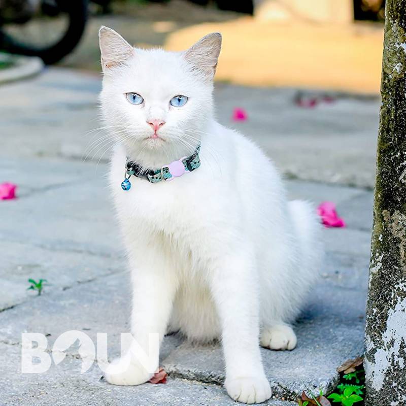 Funda Para Airtag Perro Gato Mascota Collar Impermeable BOUN