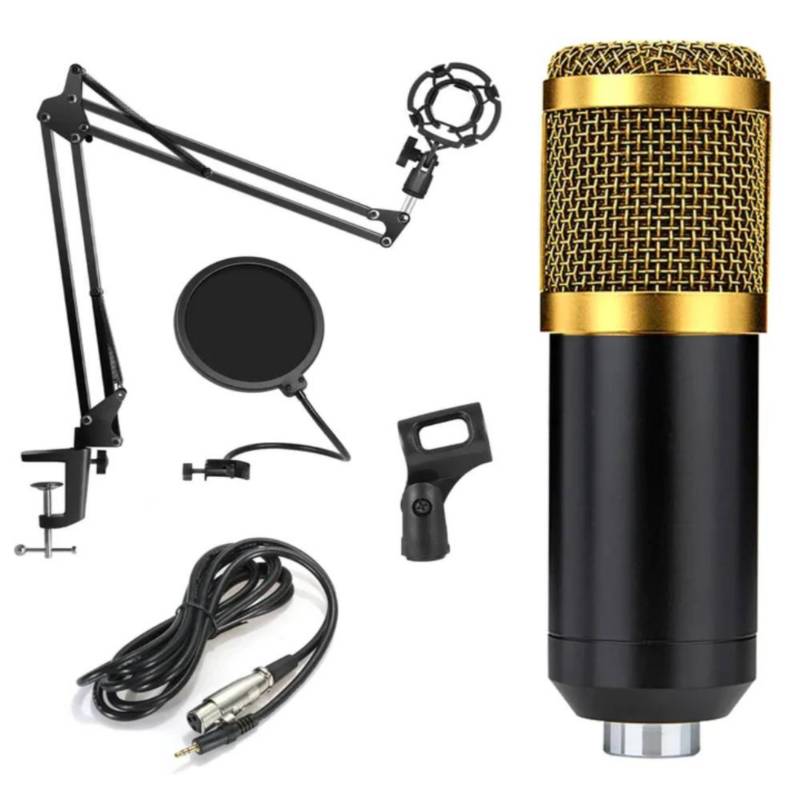 Micrófono Condensador Usb Profesional Brazo Ajustable Bm-800 GENERICO