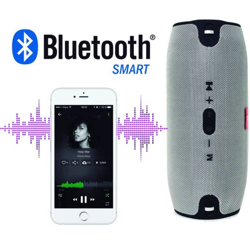 Parlante Bluetooth Radio FM (Grande) DOBLE PARLANTE